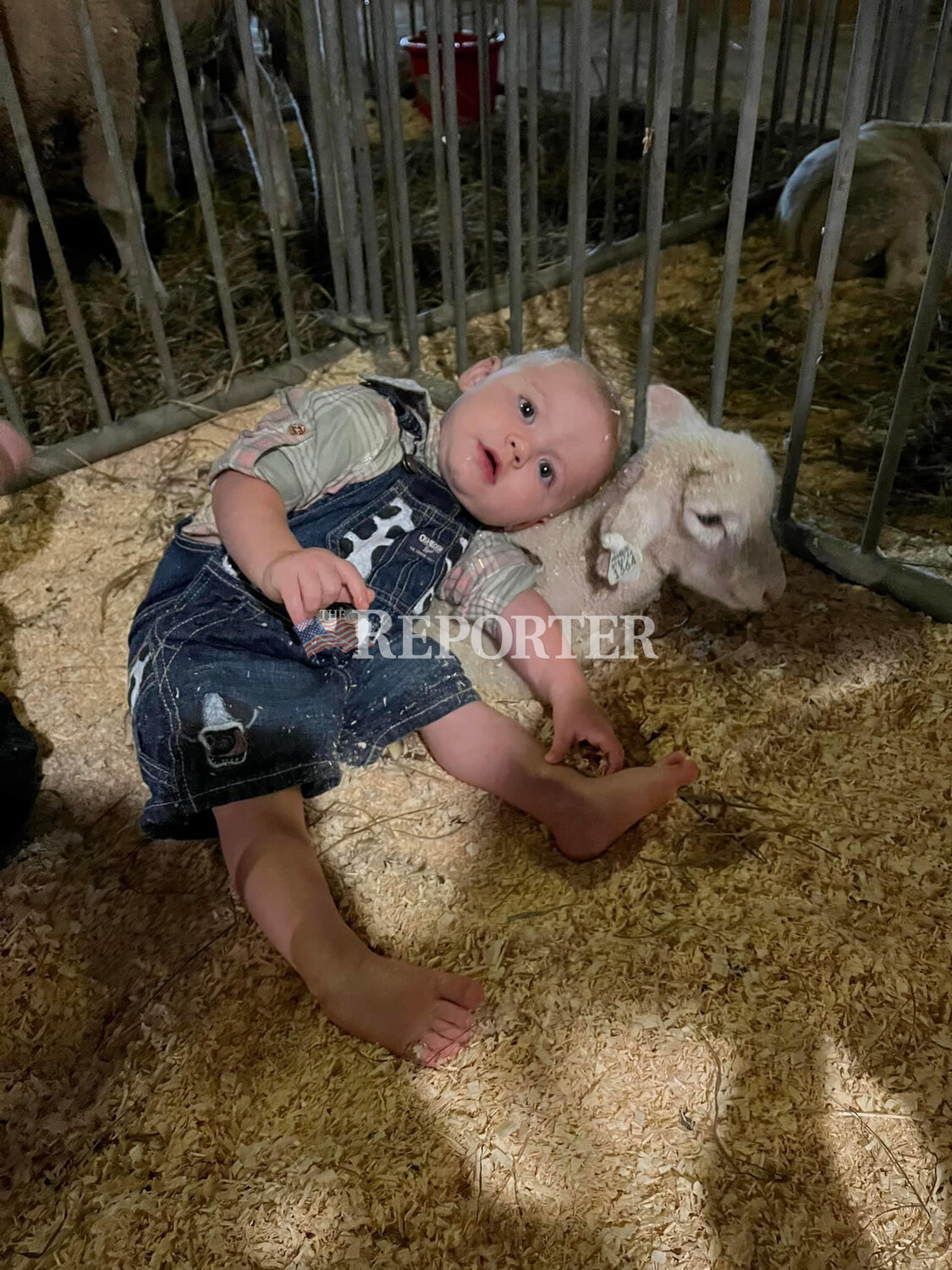 Giuliette Conklin, daughter of Benjamin Conklin and Tiffany Nobile, Roxbury, with Giulette the lamb. Giulette’s Uncle Sam named the lamb after his niece.